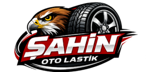 cropped sahinotologo.png